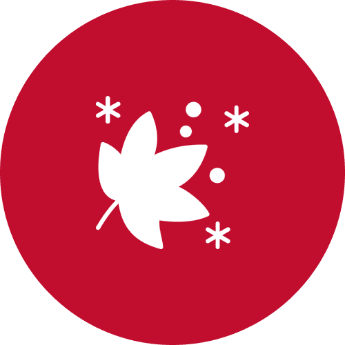 Fall Winterization