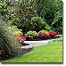 Garden path with colorful flowers and greenery.