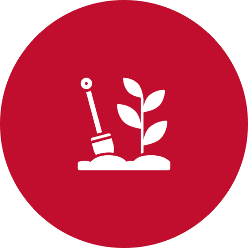 Planting