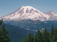 Snow-covered mountain with green forest foreground.
